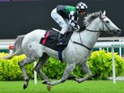 First Tothelign hits the line well for his third successive win at Kranji.<br>Photo by Singapore Turf Club